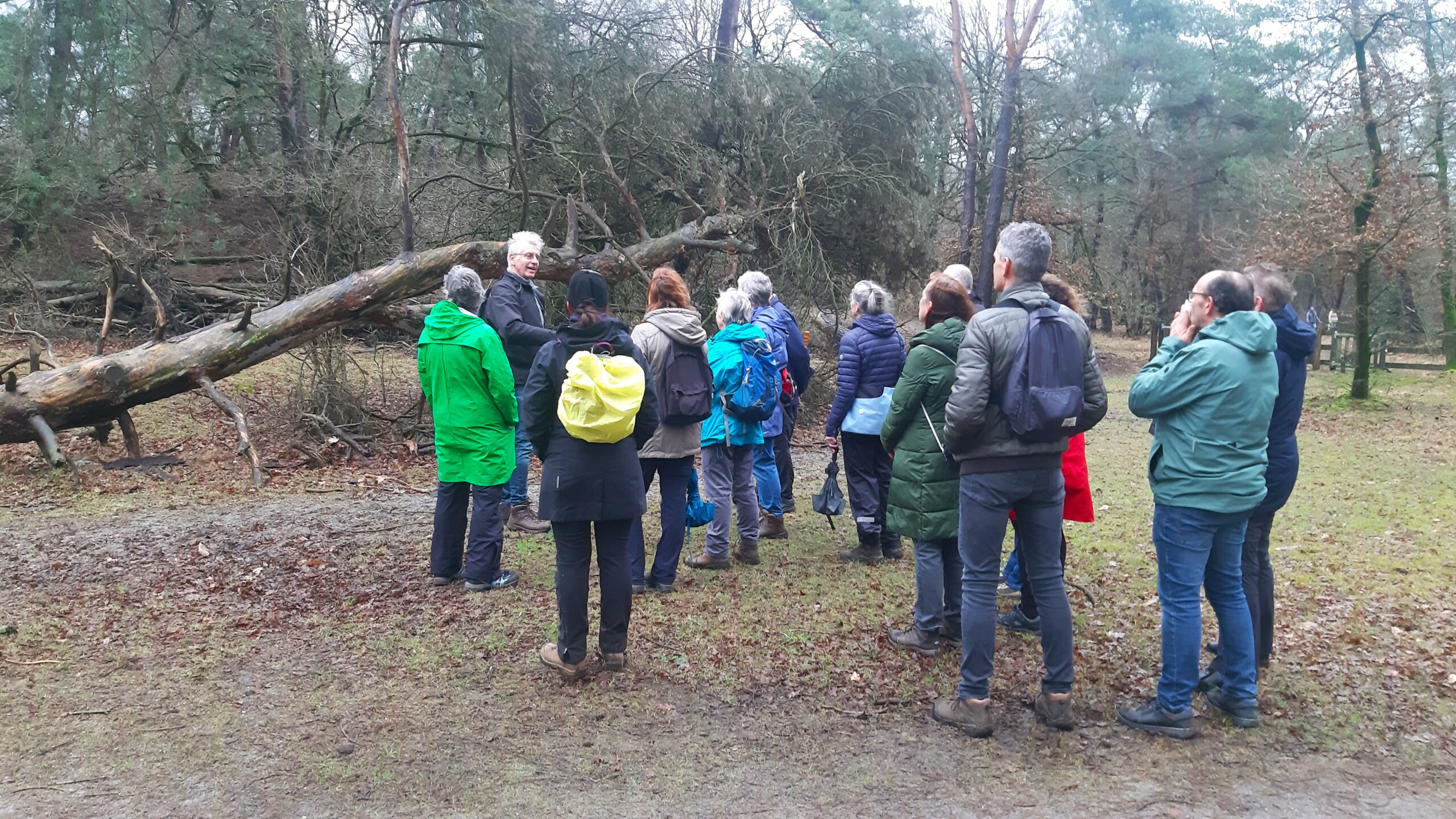 Groep mensen luistert naar gids bij omgevallen boom in bos, met winterkleding en rugzakken.