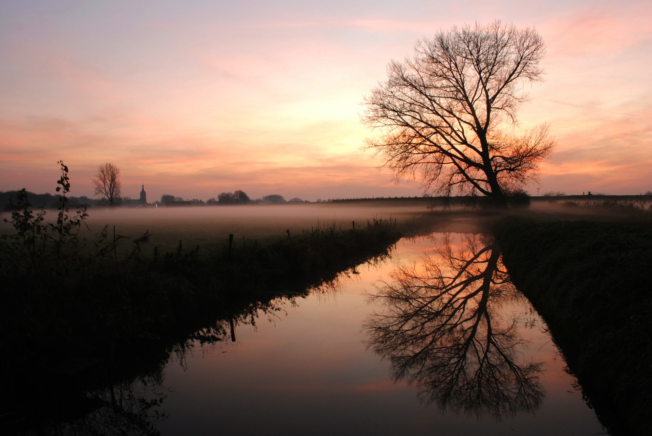 Boom weerspiegeld in een kanaal bij zonsopgang, met mistige velden op de achtergrond.