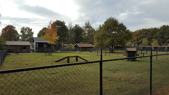 Omtuind dierenverblijf met gras, houten hokken en bomen op de achtergrond onder een bewolkte hemel.
