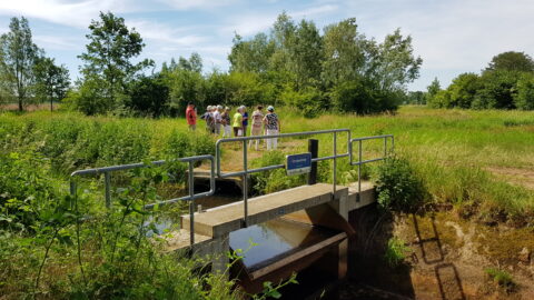 Groep mensen op landelijke wandeling bij brug over de Graspeelloop, omgeven door groen.