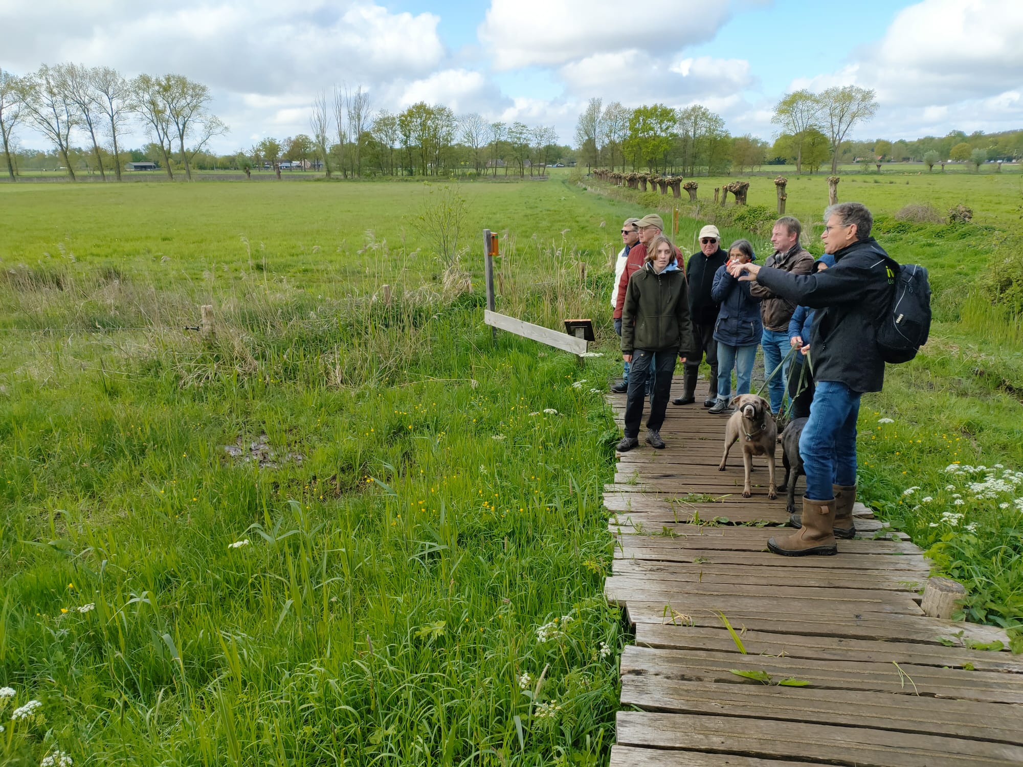 Groep mensen met honden op een houten pad in een groen, landelijk landschap.