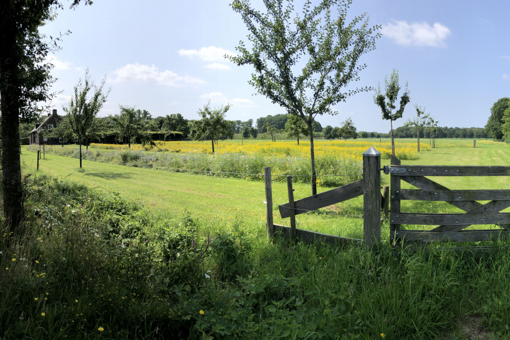Landelijk landschap met houten hek, groen grasveld, bomen en veld van gele bloemen onder blauwe lucht.