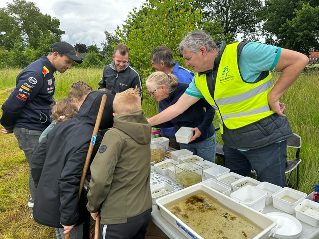Een groep mensen observeert waterorganismen in bakken tijdens een buitenevenement.