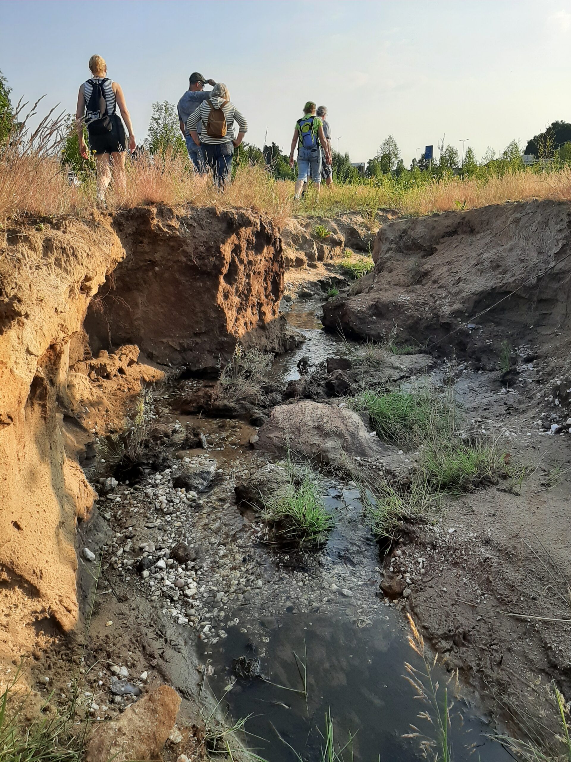 Groep wandelaars naast een smalle beek met begroeide oevers in een natuurlijk landschap.
