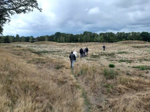 Mensen lopen over een grasveld omgeven door bomen onder een bewolkte hemel.