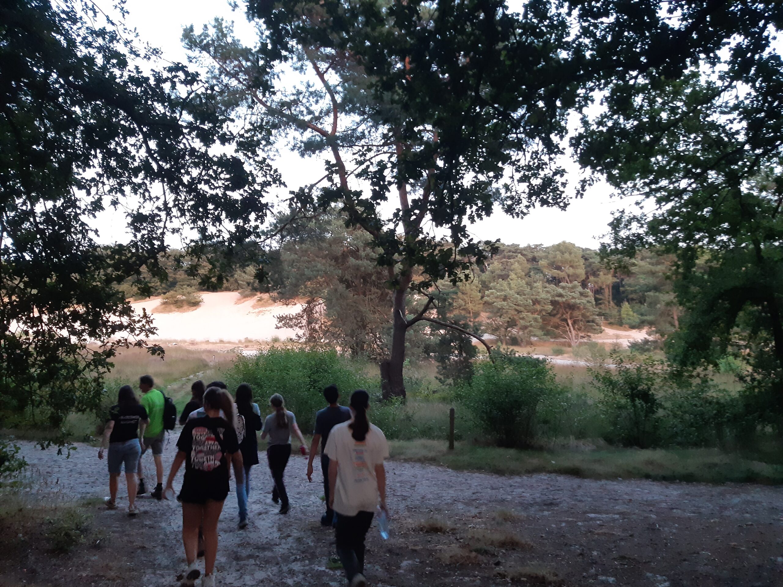 Groep mensen wandelt in bosachtige omgeving met zandduinen op de achtergrond.