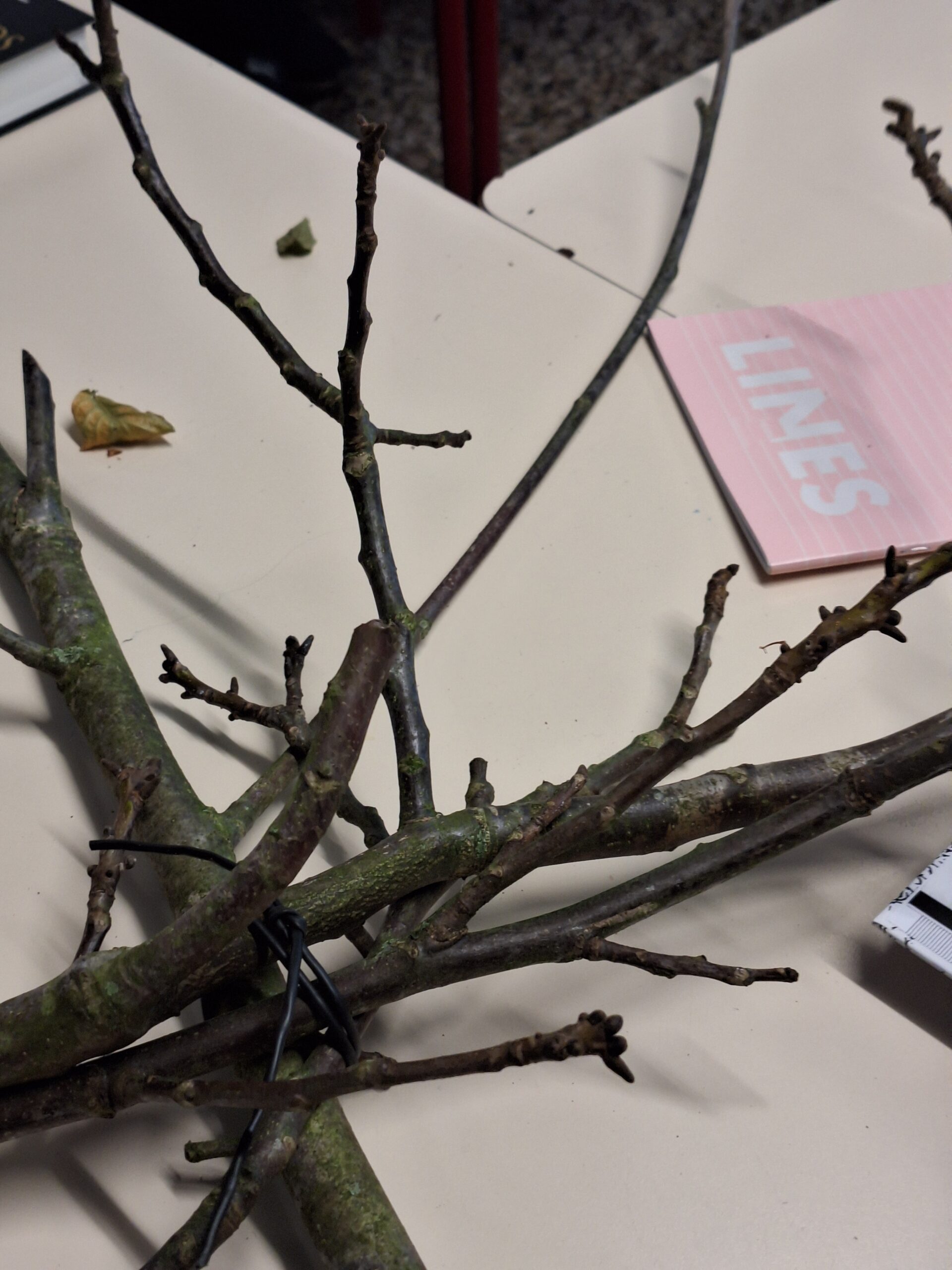 Takjes gebundeld met zwarte banden op een tafel, naast een roze notitieboek.