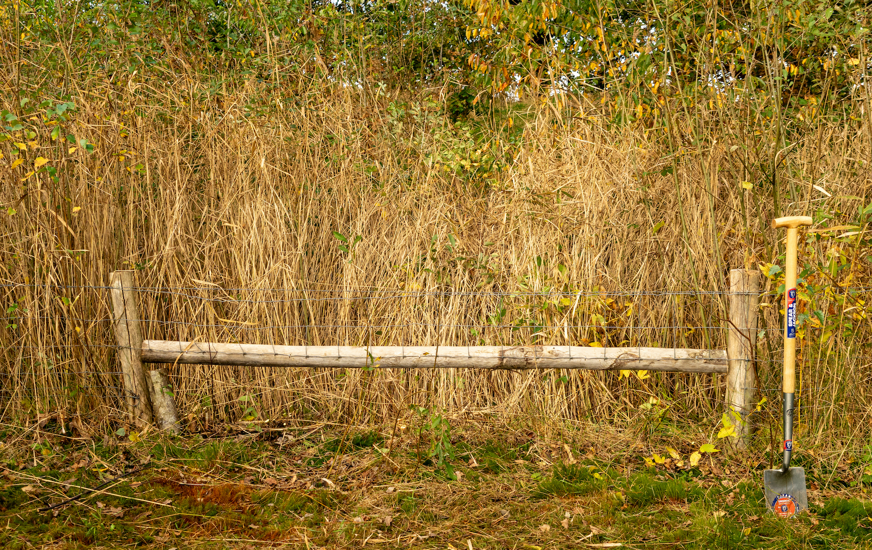 Een houten hek en een schop voor hoog droog gras met groene bladeren.
