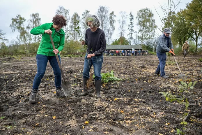 Mensen planten bomen op een kaal veld; op de achtergrond een groep bij een schuur.