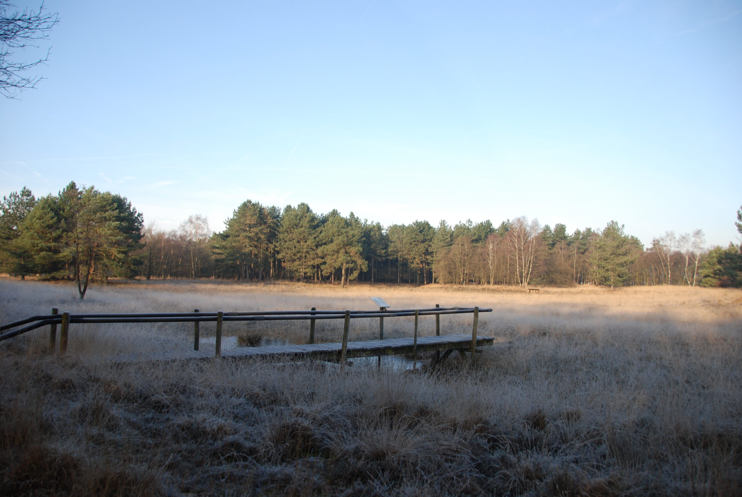 Een houten brug over een bevroren veld, omringd door bomen onder een heldere blauwe lucht.