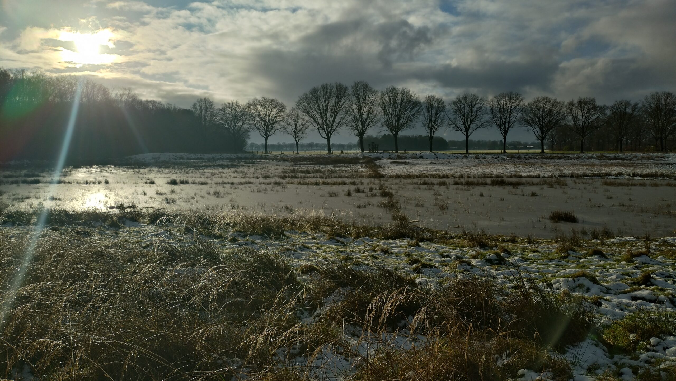 Zonnig winterlandschap met besneeuwde weide, kale bomen en een bewolkte hemel.
