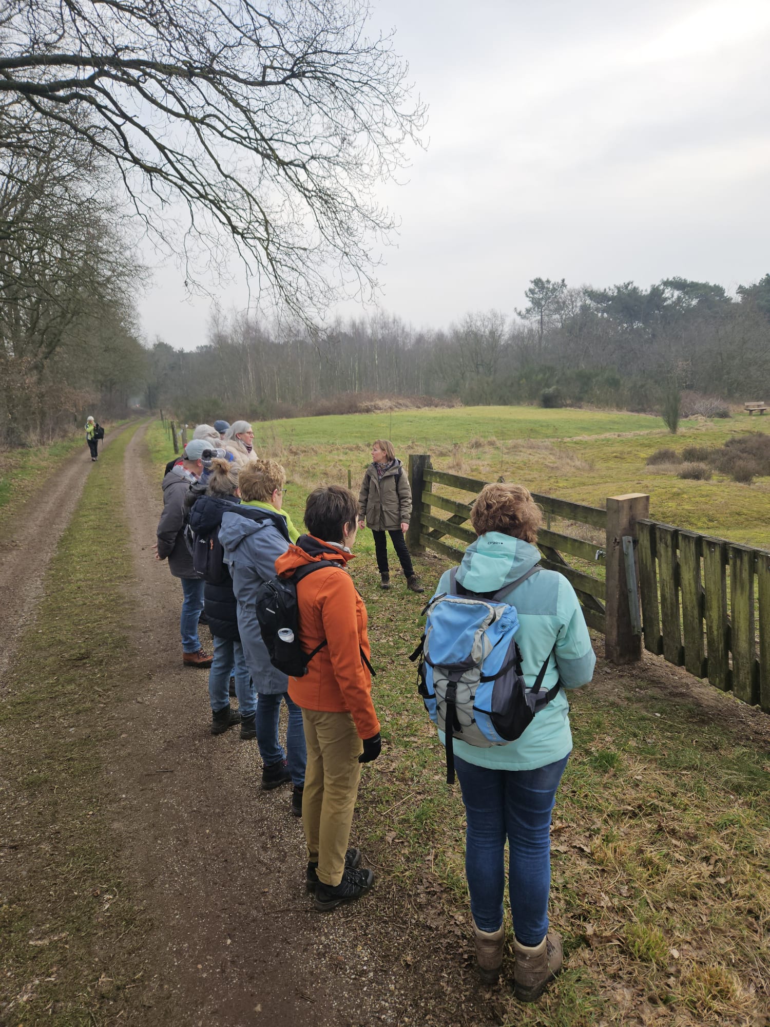 Groep wandelaars luistert naar gids langs bospad op bewolkte dag.