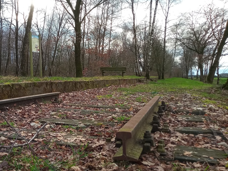 Verlaten spoorlijn in bos, met bladeren bedekt en bankje bij perron.
