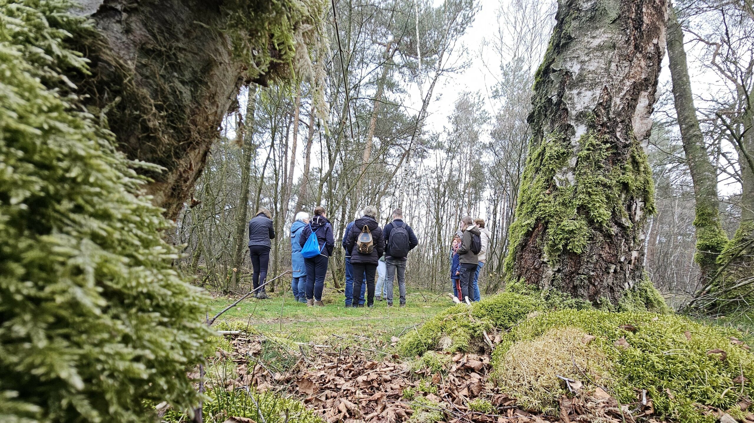Een groep wandelaars tussen met mos begroeide bomen in een bosrijk gebied.