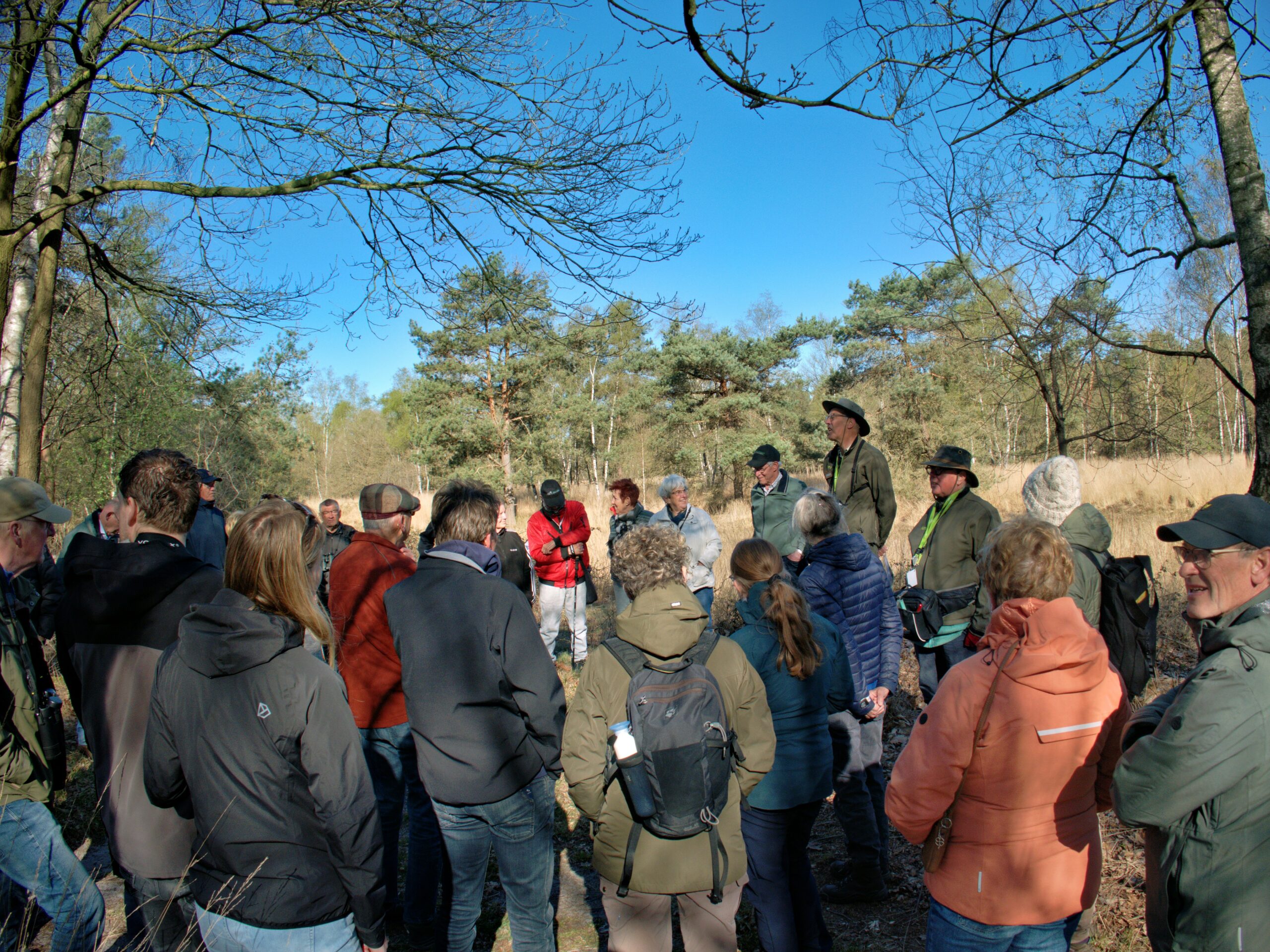 Groep mensen luistert naar gids in bosrijke omgeving onder heldere blauwe lucht.