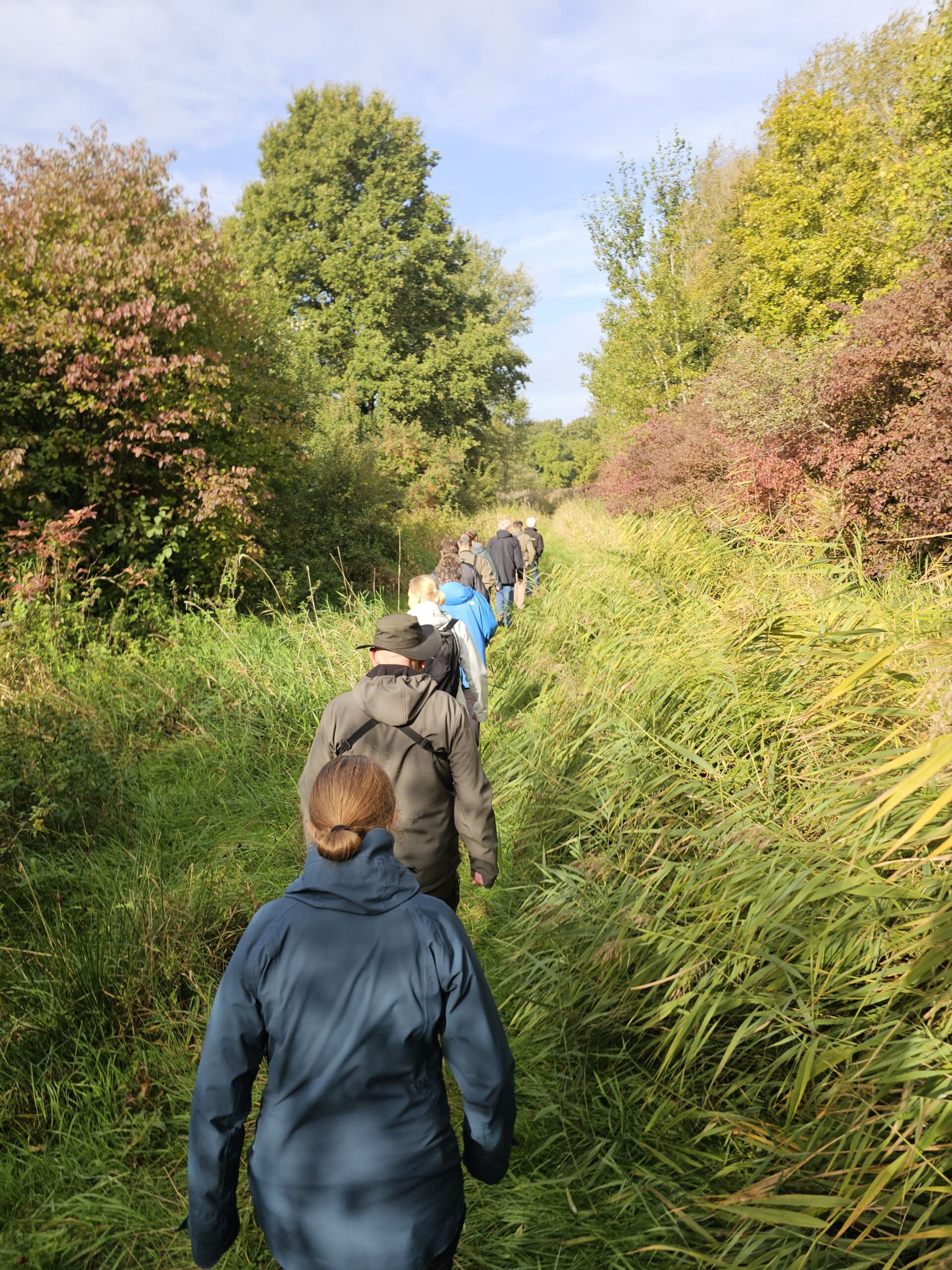 Groep mensen wandelt door een groen pad omringd door bomen onder een blauwe hemel.