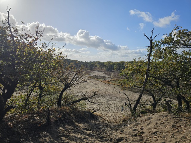 Zandduinen met bomen onder een blauwe lucht en wolken, omlijst door gebladerte.