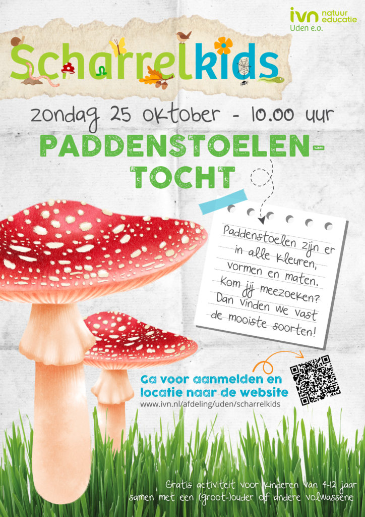 Poster voor "Scharrelkids Paddenstoelentocht" op 25 oktober om 10.00 uur, met rode paddenstoelen.