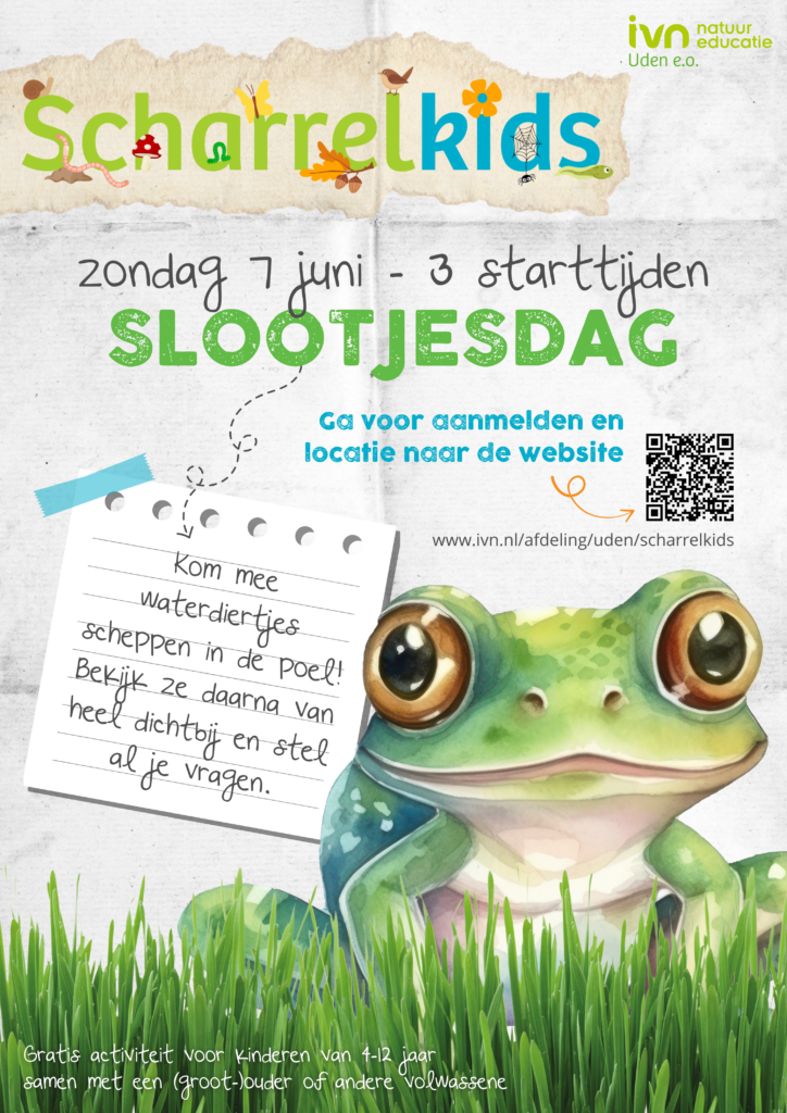 Poster voor Scharrelkids Slootjesdag met een kikkervisje, notitie en datum: zondag 7 juni.
