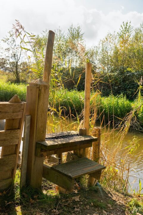 Houten overstap over een hek bij een rivier, omgeven door riet en groen.