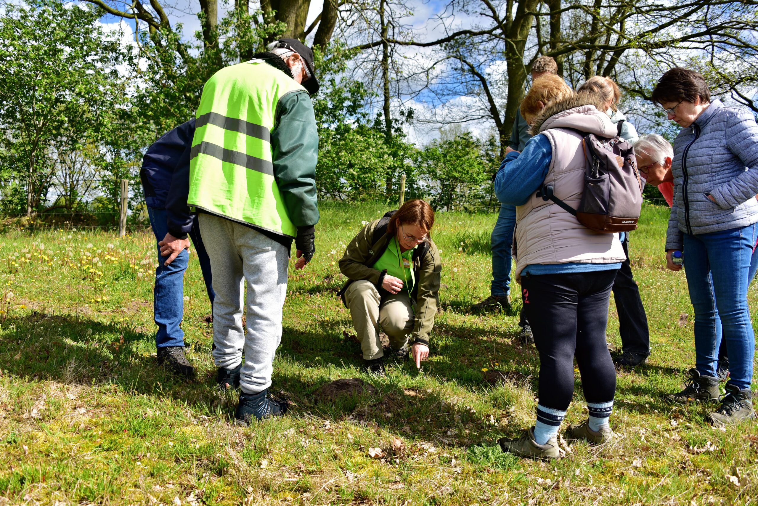 Groep mensen observeert iets kleins op grasland onder bomen.