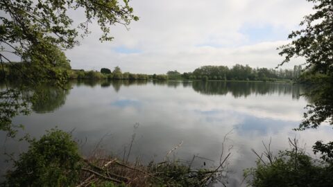 Rustig meer met bomen langs de oever en wolkenlucht weerspiegeld in het water.