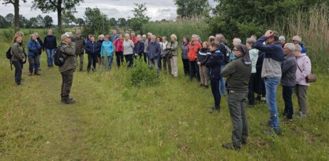Groep mensen luistert naar een gids in een groen, open veld met bomen op de achtergrond.