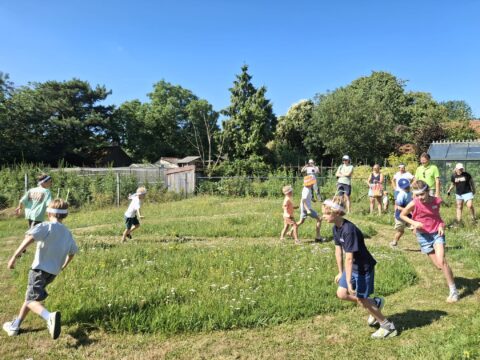Kinderen rennen en spelen op een grasveld, terwijl volwassenen toekijken onder een blauwe lucht.