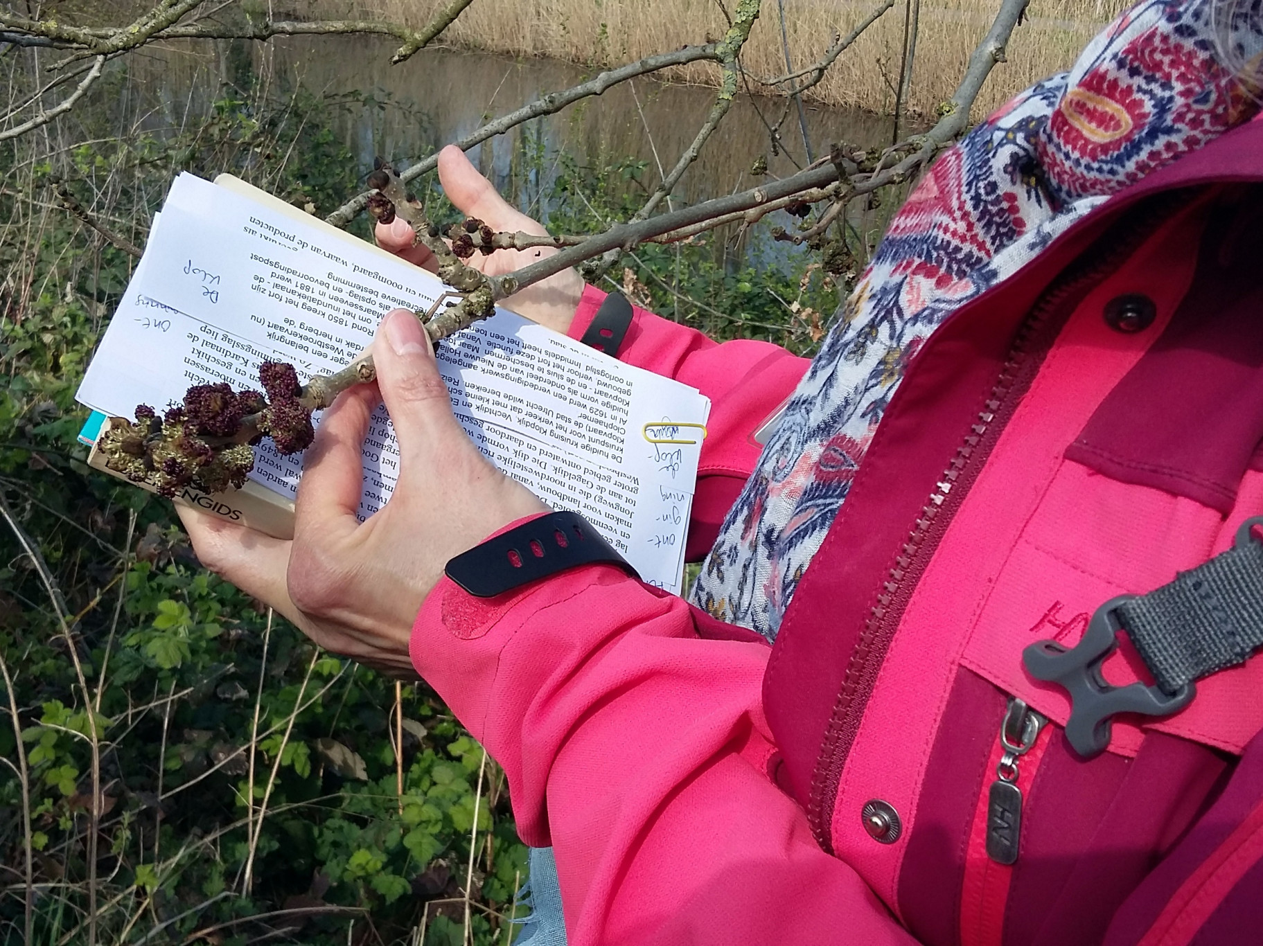 De natuur in Utrecht Overvecht bij Fort aan de Klop