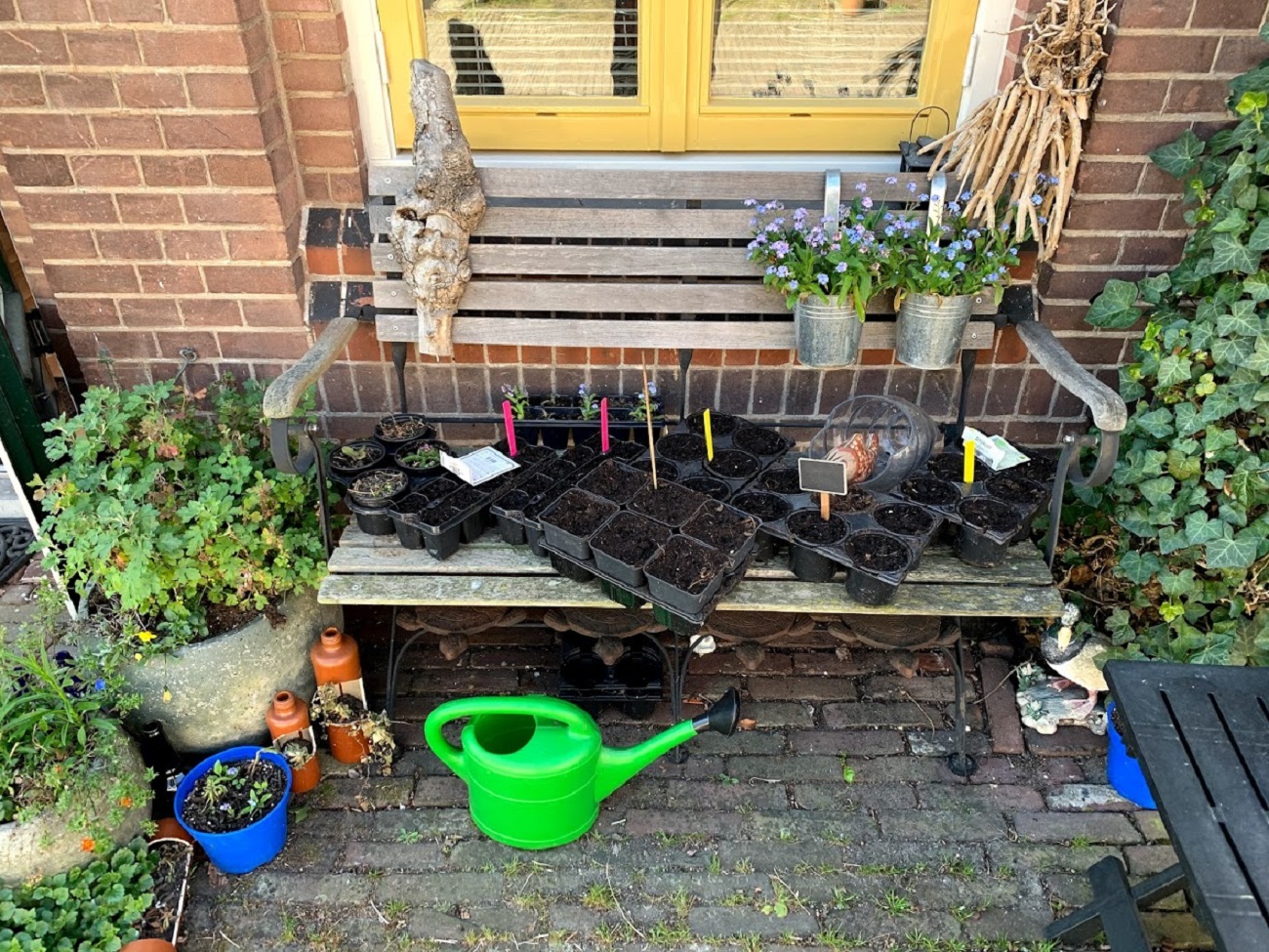 Online Moestuinieren geslaagd