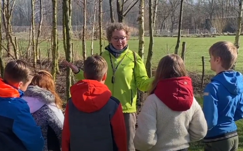 Verwondering voor de natuur