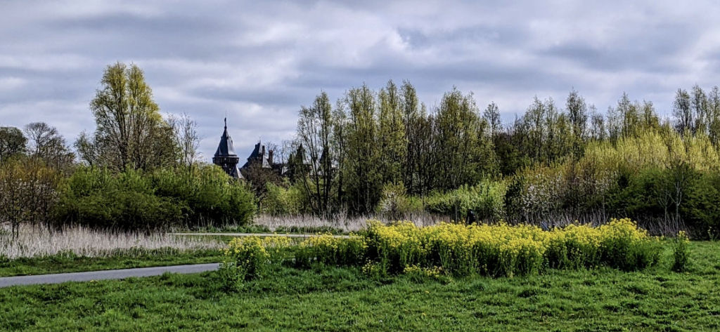 Groen landschap met gele bloemen, bomen op de achtergrond en torenspitsen zichtbaar tussen de takken.