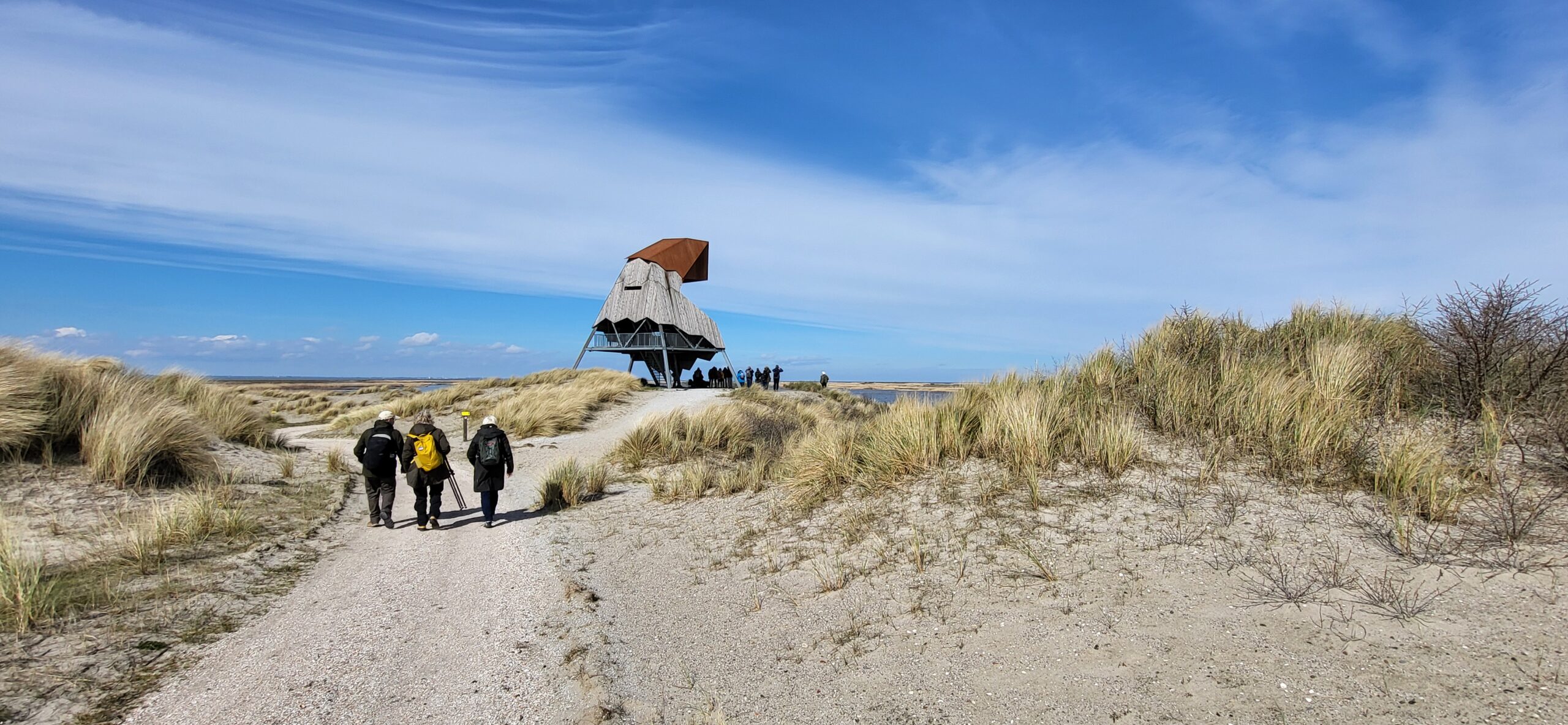 Wandelaars op een pad door duinen naar een vogeluitkijkpunt onder een blauwe hemel.