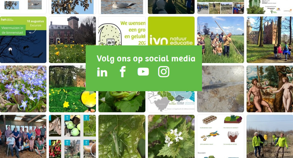 Collage van natuur- en educatiebeelden met een groene banner: "Volg ons op social media".
