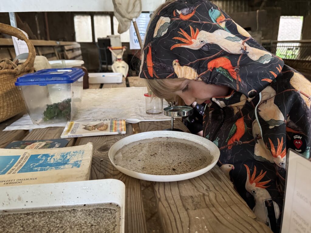 Kind onderzoekt zand in een kom met een loep, omgeven door boeken en bakken in een houten schuur.