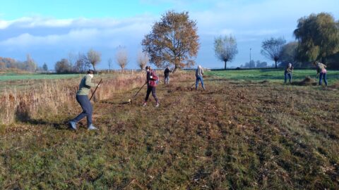 Groep mensen werkt met gereedschap op een grasveld, omgeven door bomen en blauwe lucht.