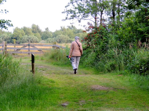 Persoon wandelt op een groen bospad bij een houten hek, omgeven door bomen en struiken.
