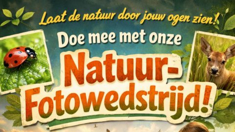 Promotieposter voor natuur-fotowedstrijd met afbeeldingen van een lieveheersbeestje en een hert.