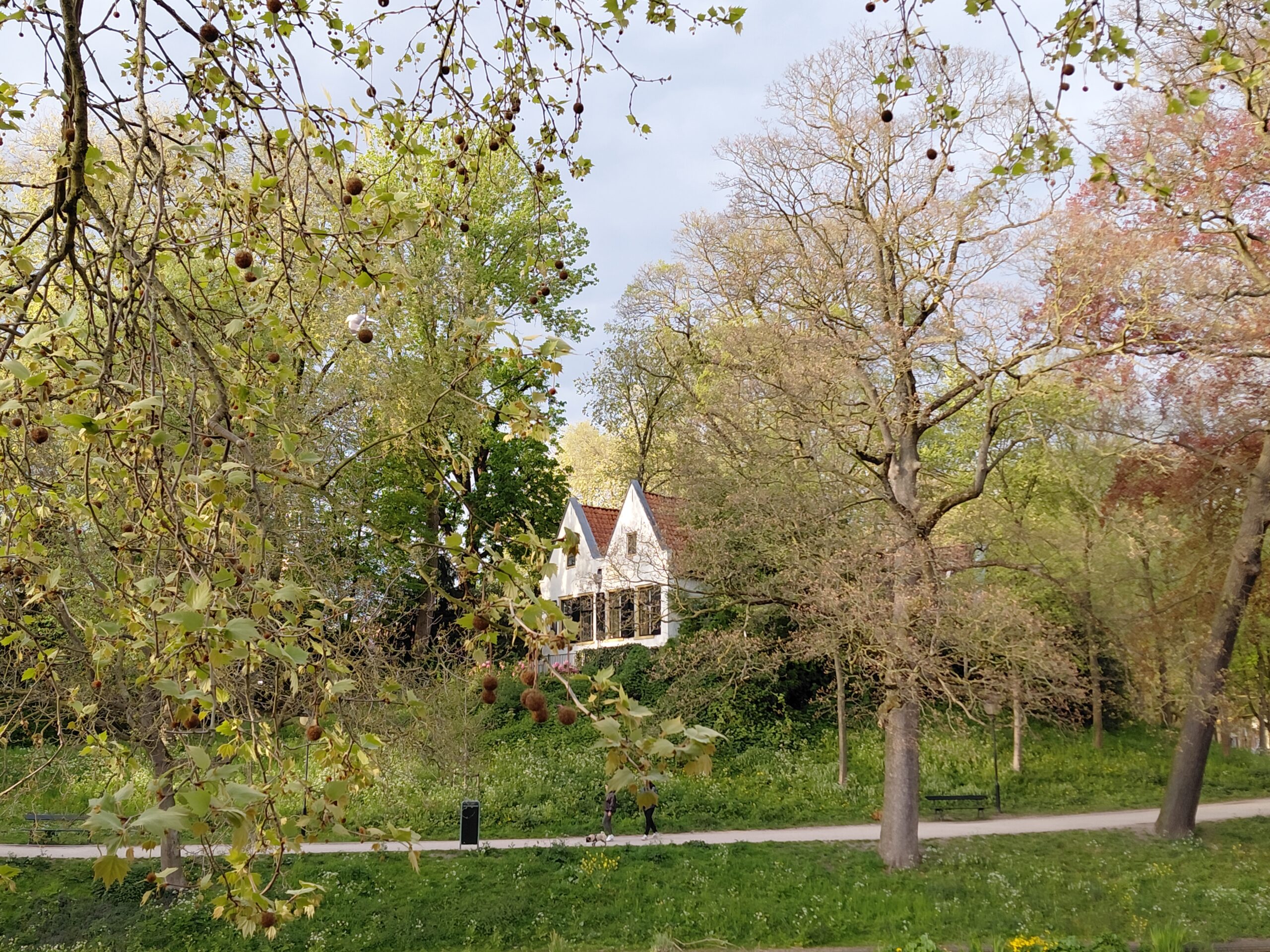 Wit huis omringd door bomen en een wandelpad in een groene parkachtige omgeving.