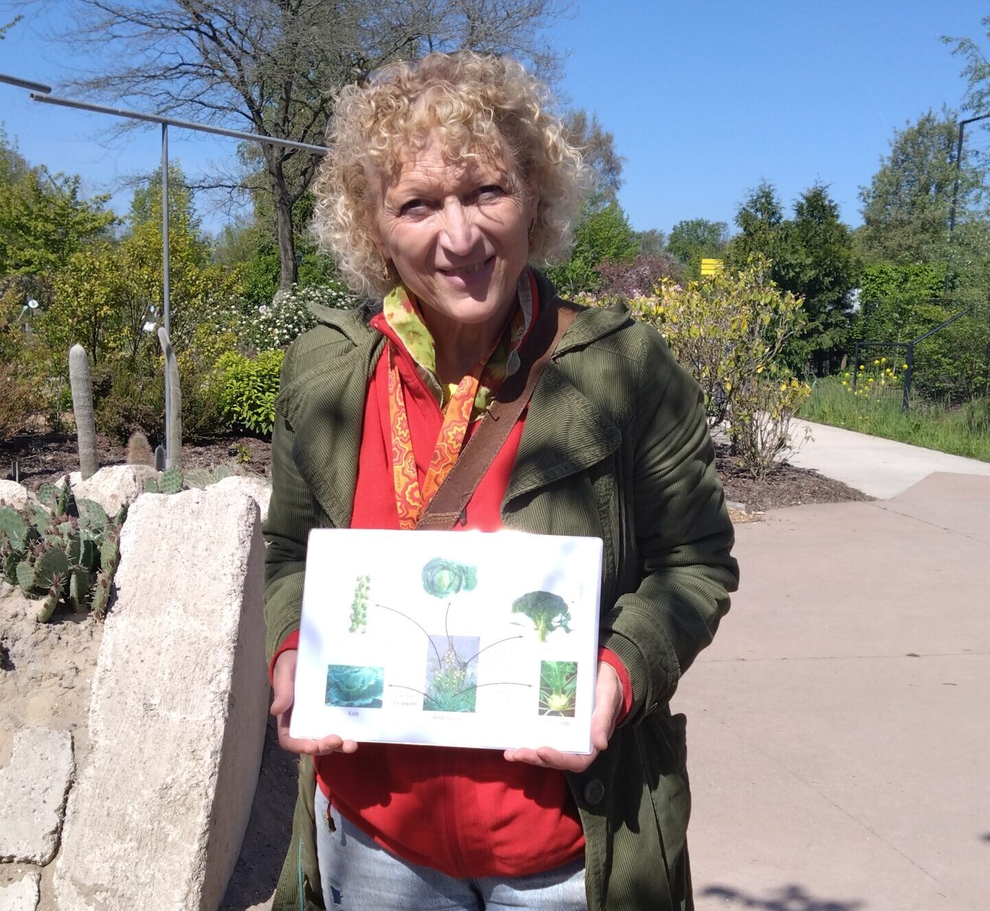 Vrouw met krullend haar houdt een bord met plantdiagrammen in een zonnige tuin vast.