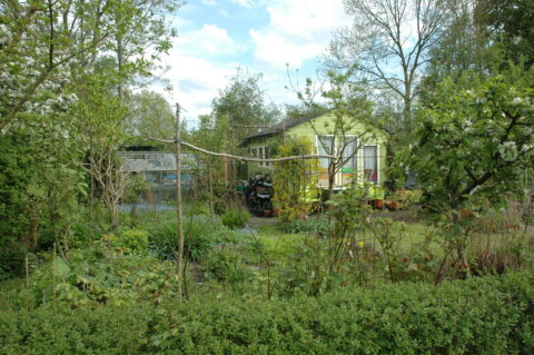 Tuin met groene hut, omgeven door bomen, struiken en bloemen op een zonnige dag.