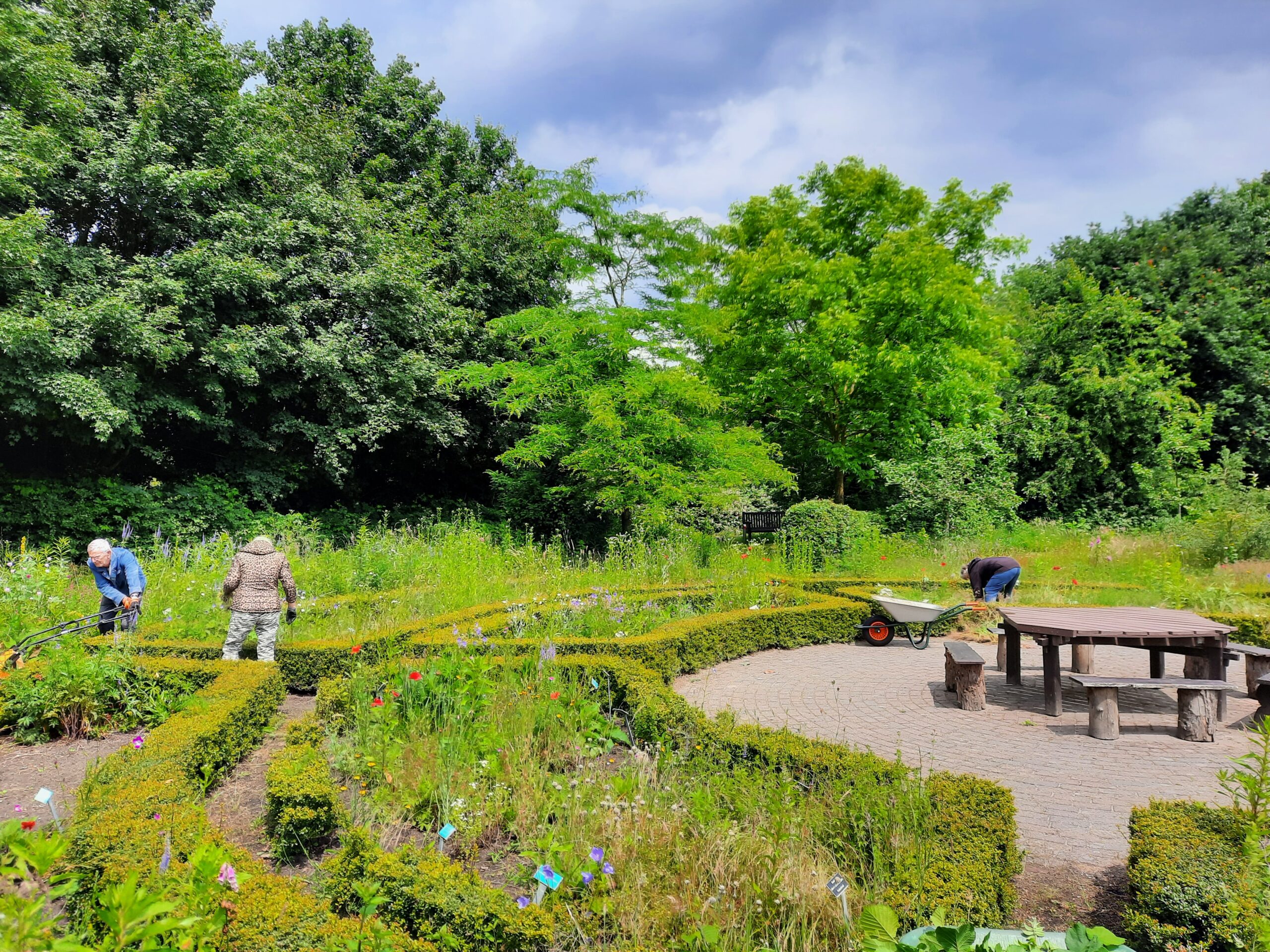 Drie mensen werken in een groene tuin met heggen, bomen en een houten picknicktafel.