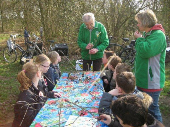 Herfstwandeling 2013