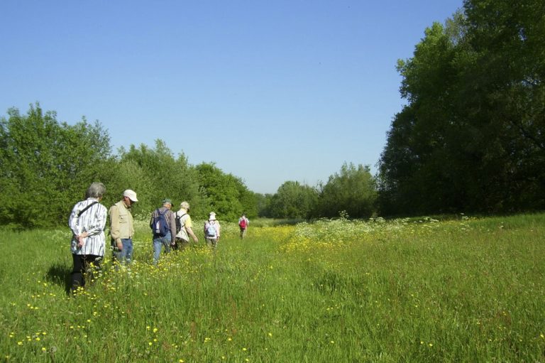 Wandelen