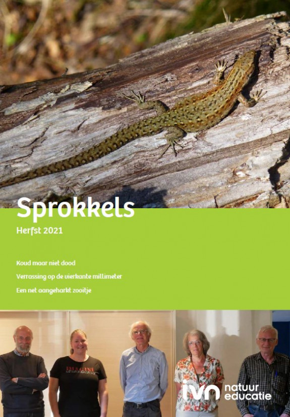 Voorpagina sprokkels herfst 2021