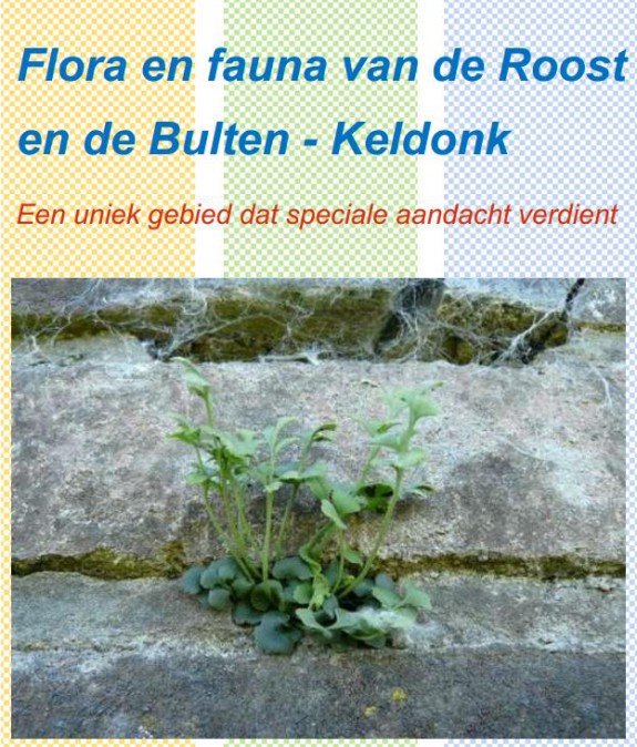Inventarisatierapport de Roost en de Bulten Keldonk