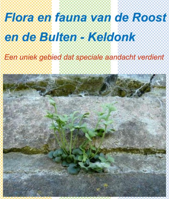 Inventarisatierapport de Roost en de Bulten Keldonk
