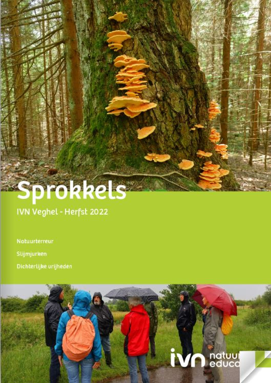 Sprokkels Herfst 2022