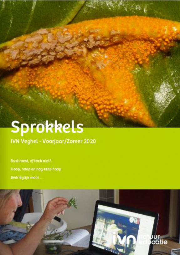 Nr 123 - Sprokkels - voorjaar-zomer 2020