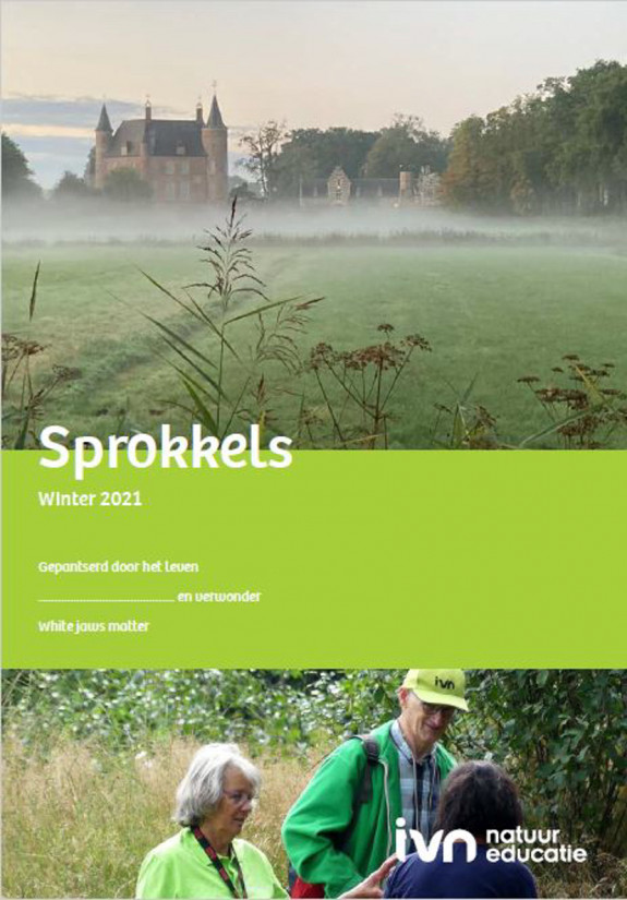 Nr 125 - Sprokkels - winter 2021 - voorblad